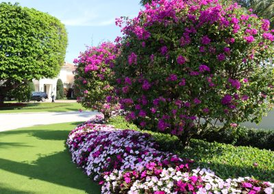 LDSFL Flower Installation